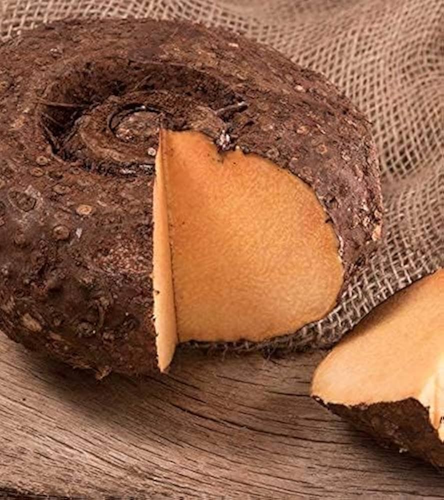 51 8u8kihel. ac uf894,1000 ql80